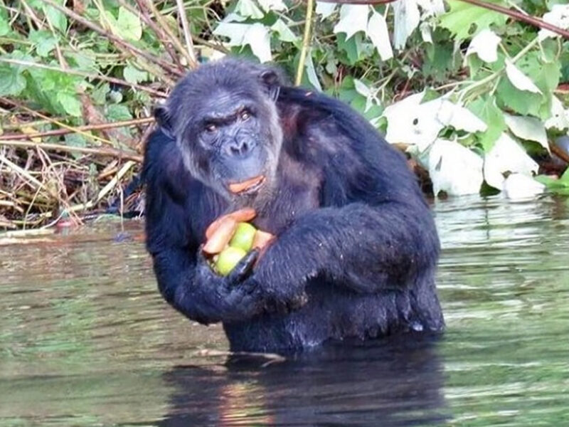 Featured Image